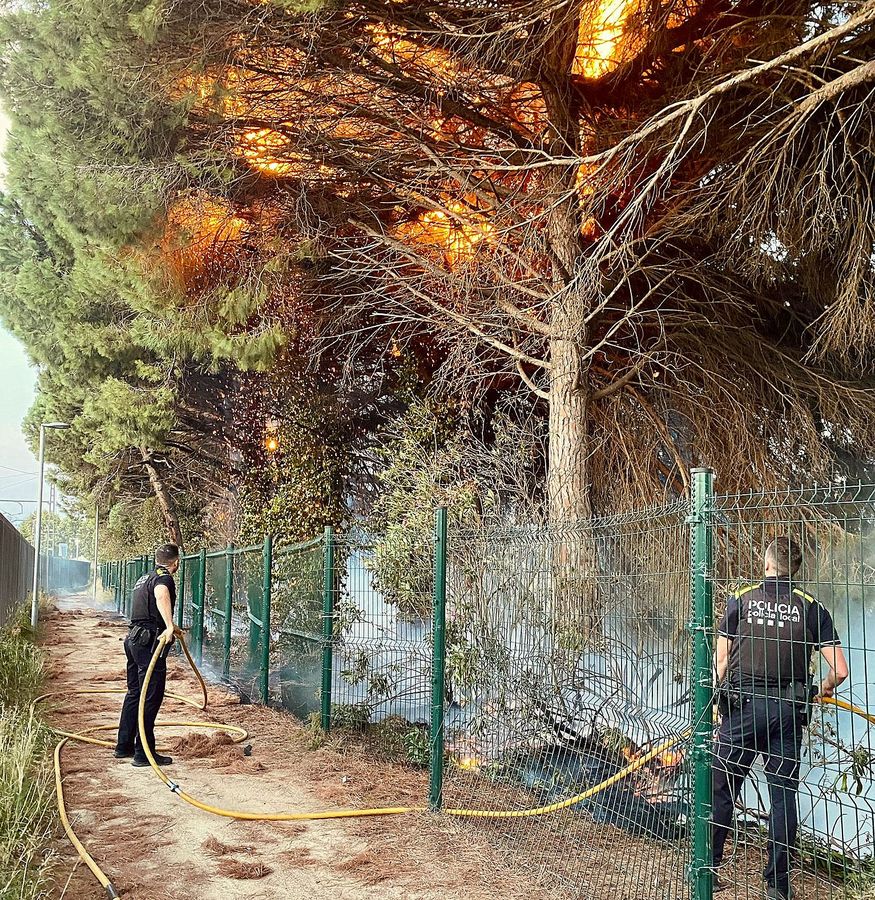 Un incendi a prop de les vies del tren crema uns 1.000 m² de vegetació a Blanes